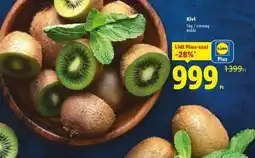 Lidl Kivi ajánlat