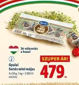 Lidl Gyulai Sertés mini májas ajánlat