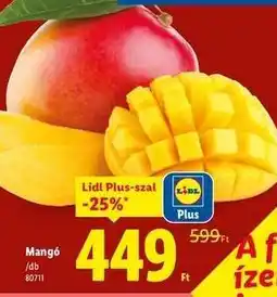 Lidl Mangó ajánlat