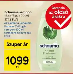 Tesco SCHAUMA Sampon ajánlat