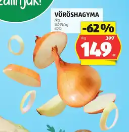ALDI VÖRÖSHAGYMA ajánlat
