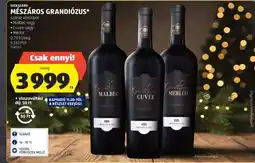 ALDI MÉSZÁROS GRANDIÓZUS ajánlat