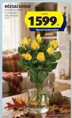 ALDI RÓZSACSOKOR ajánlat