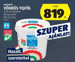 ALDI Kokárdás Vödrös Tejföl ajánlat