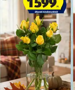 ALDI RZSACSOKOR ajánlat