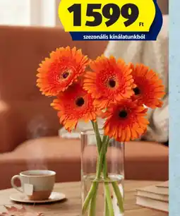 ALDI VEGYES VIRÁGCSOKOR ajánlat