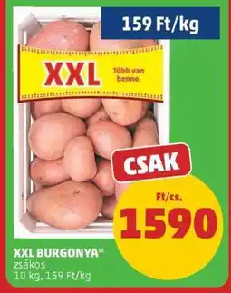 PENNY XXL BURGONYA ajánlat