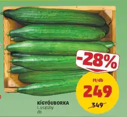 PENNY Kígyóuborka ajánlat