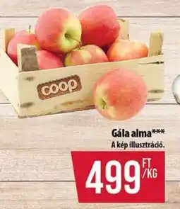 Coop Gála alma ajánlat