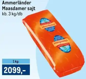 Metro Ammerländer Maasdamer sajt ajánlat