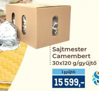Metro Sajtmester Camembert ajánlat