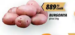 Príma BURGONYA ajánlat