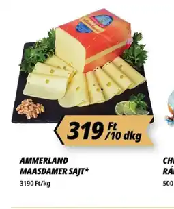 Príma AMMERLAND MAASDAMER SAJT ajánlat