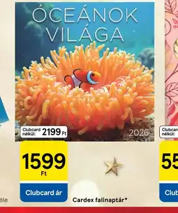 Tesco CEÁNOK VILÁGA ajánlat