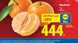 Lidl Mandarin ajánlat