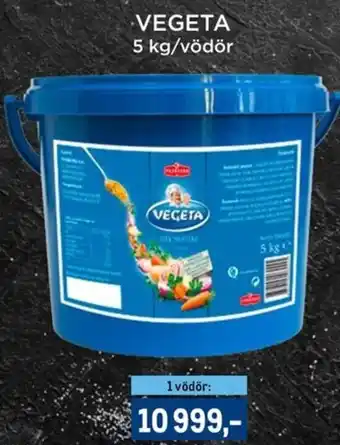 Metro Vegeta ajánlat