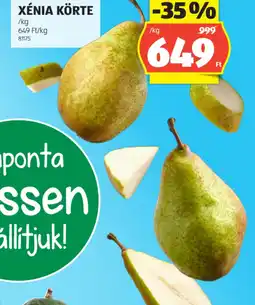 ALDI XÉNIA KÖRTE ajánlat