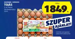 ALDI KOKÁRDÁS / SZERENCSI TOJÁS ajánlat