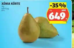 ALDI XÉNIA KÖRTE ajánlat