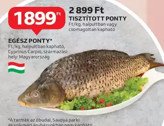 Auchan TISZTÍTOTT PONTY ajánlat