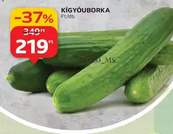 Auchan KÍGYUBORKA ajánlat