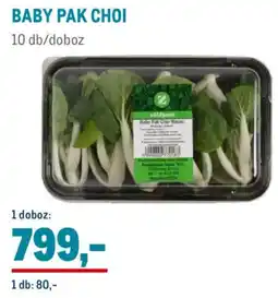 Metro Baby Pak Choi ajánlat
