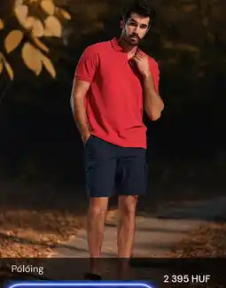 Sinsay Pólóing ajánlat