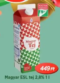 Real Magyar ESL tej 2,8% ajánlat