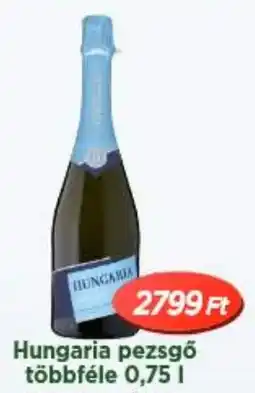 Real Hungaria pezsgő ajánlat