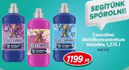 Real Coccolino öblítőkoncentrátum ajánlat