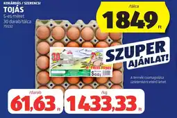 ALDI Kokárdás / Szerencsi tojás ajánlat