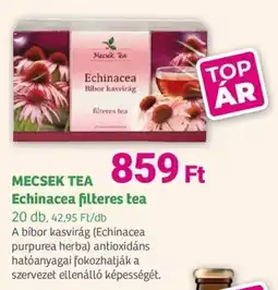 Herbaház MECSEK TEA Echinacea filteres tea ajánlat