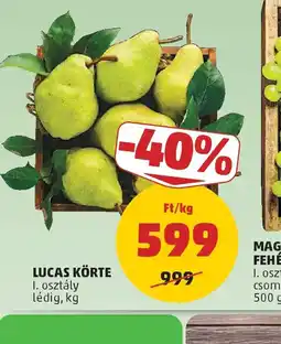 PENNY LUCAS KÖRTE ajánlat