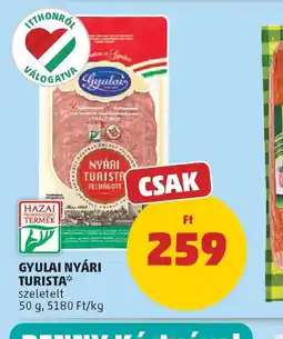 PENNY GYULAI NYÁRI TURISTA ajánlat