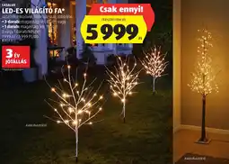 ALDI Casalux LED-es világító fa ajánlat