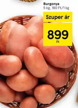 Tesco Burgonya ajánlat