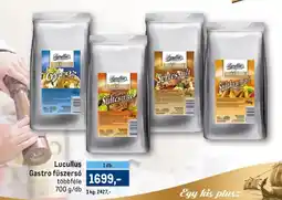 Metro Lucullus Gastro fűszersó ajánlat