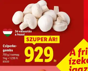 Lidl Csiperke-gomba ajánlat