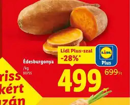 Lidl Édesburgonya ajánlat