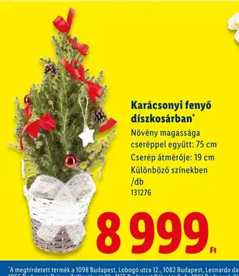 Lidl Karácsonyi fenyő ajánlat