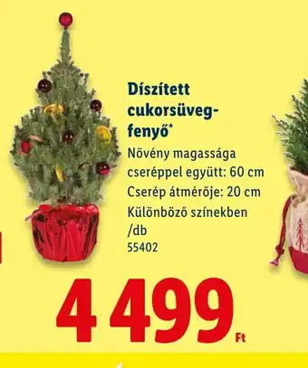 Lidl Díszített cukorsüveg-fenyő ajánlat