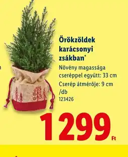 Lidl Örökzöldek karácsonyi zsákban ajánlat
