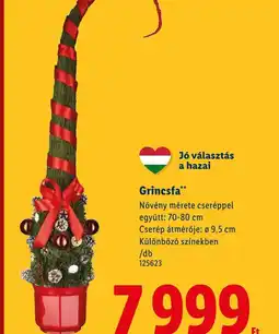 Lidl Grincsfa ajánlat