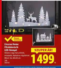 Lidl Livarno Home Filcdekoráci LED-fénnyel ajánlat
