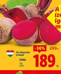 Lidl Cékla ajánlat