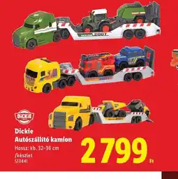 Lidl DICKIE Autszállít kamion ajánlat