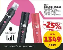 PENNY Taft hajlakk, hajhab ajánlat