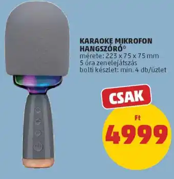 PENNY Karaoke mikrofon hangszóró ajánlat