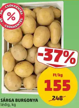 PENNY Sárga burgonya ajánlat