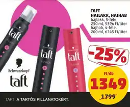 PENNY Taft hajlakk, hajhab ajánlat